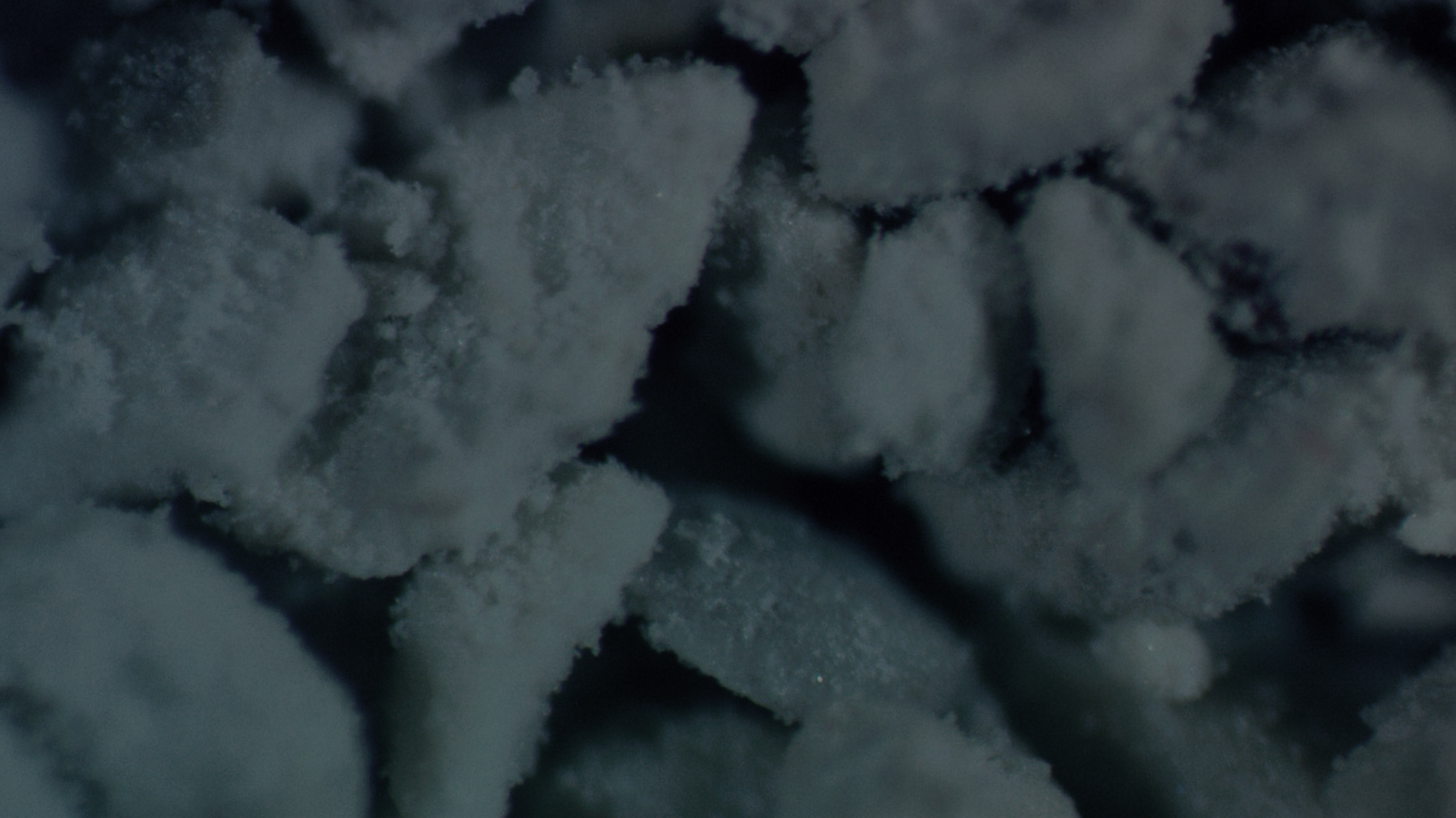 compound-img